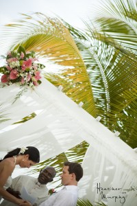 IMG_0473 IMG_0473