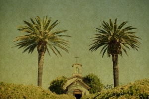 IMG_2540_web IMG_2540_web