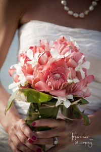 IMG_2958 IMG_2958