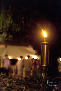 IMG_3189 IMG_3189