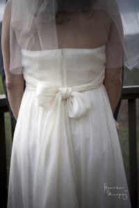 dress_back dress_back