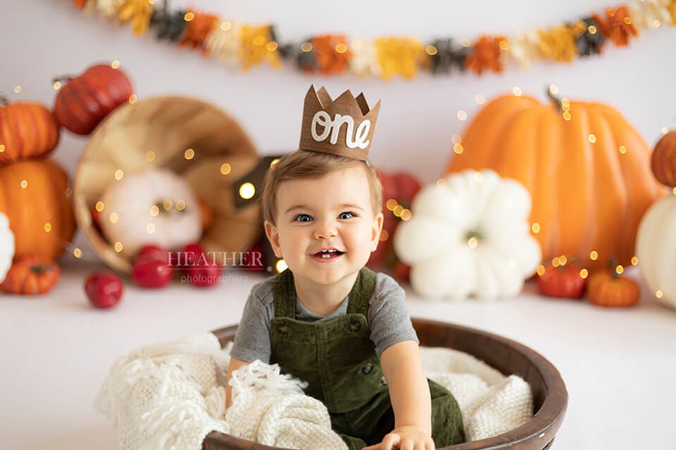 A festive backdrop featuring a variety of pumpkins and fall foliage