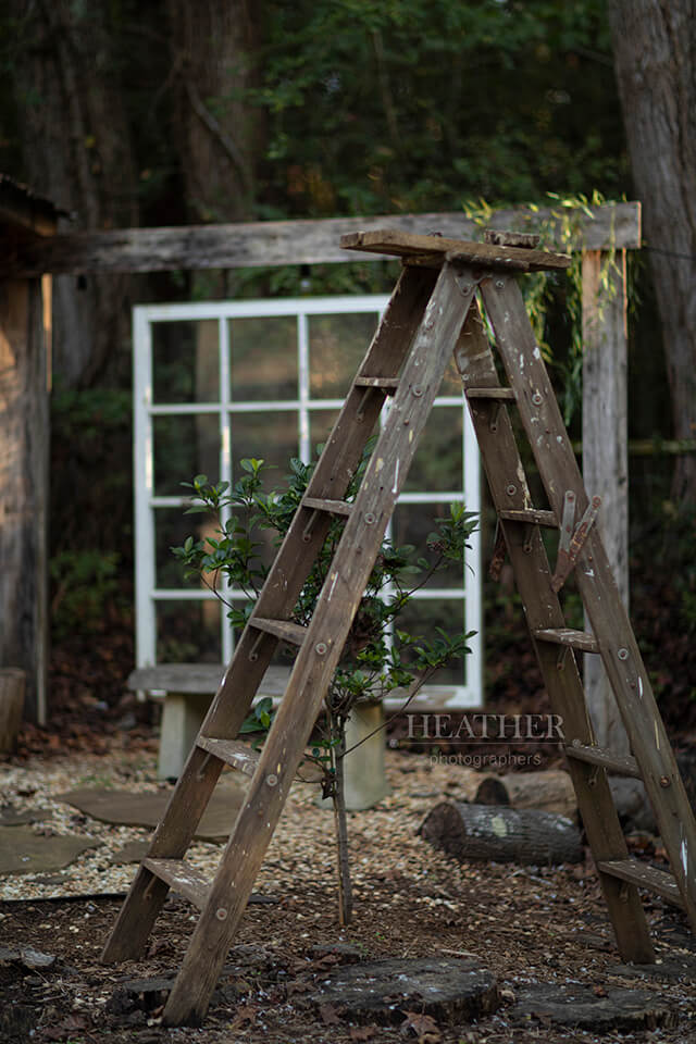 038A4643-web