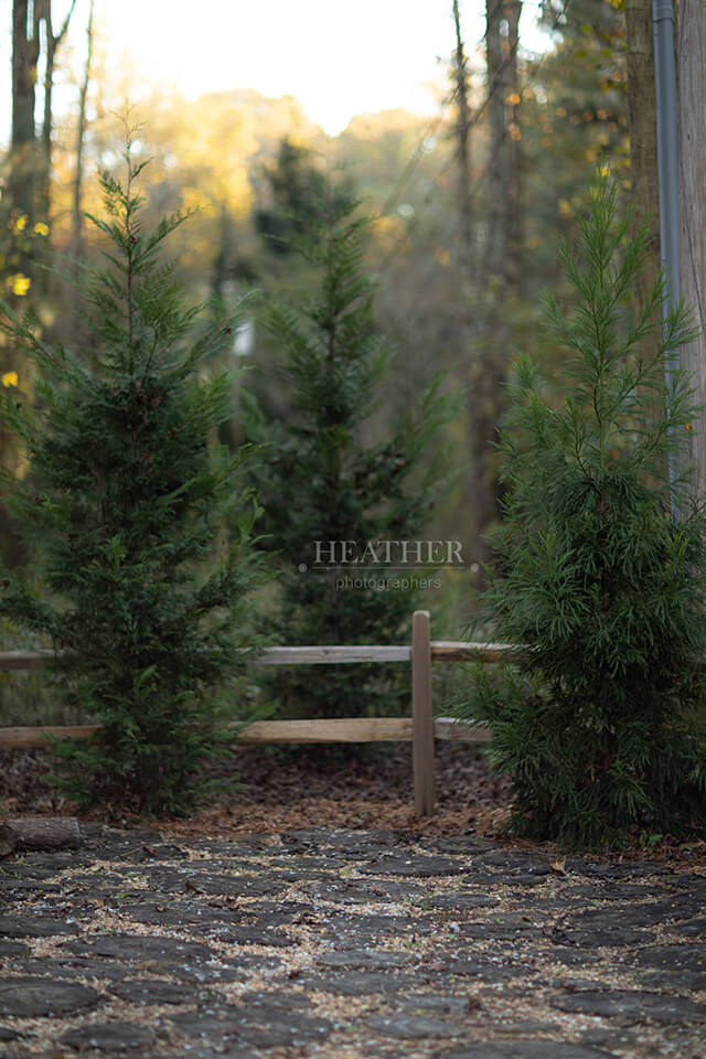 038A4646-web