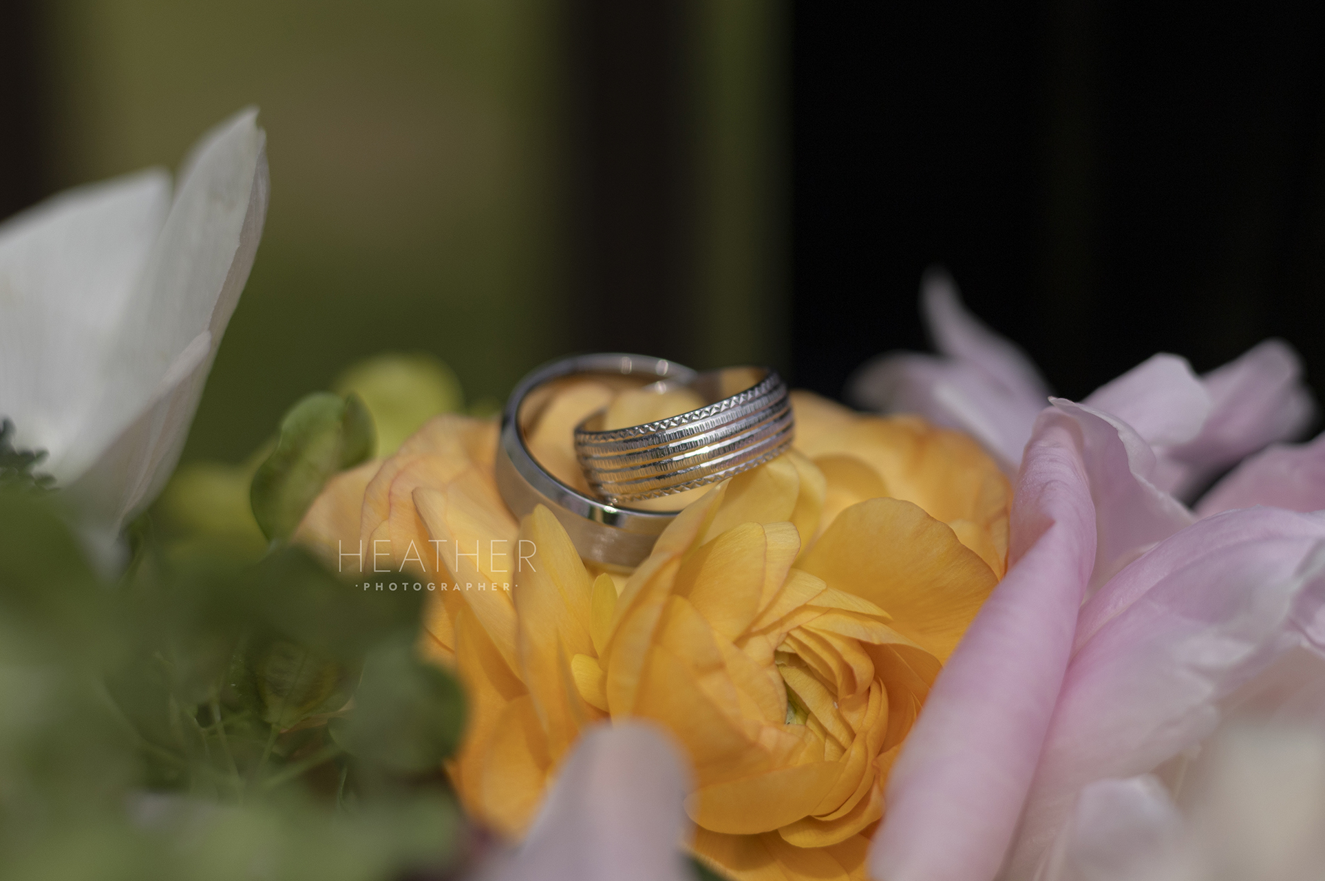 IMG_0110-web